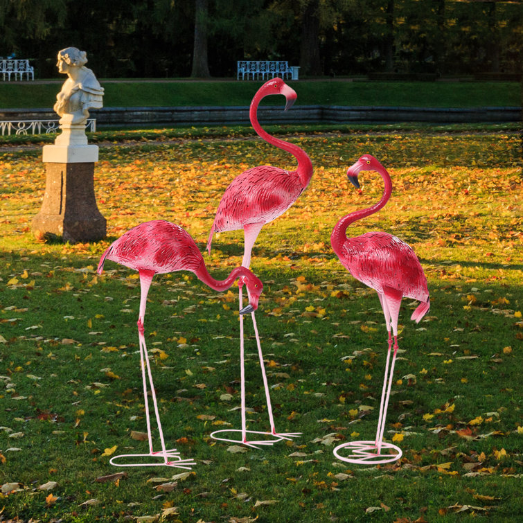 flamingo images only flamingo images only